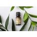 Ecodrop Frankincense Essential Oil 10ml - Cosmos Certified, 100% Pure & Therapeutic Grade for Aromatherapy, Massage and Bath - Buy Online on GoSupps.com