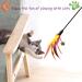 Besimple Set of 6 Feather Wands for Cats - Variable Colour - Coloured Feathers - for Cats and Kittens - Buy Online on GoSupps.com