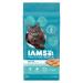 IAMS Proactive Health Dry Cat Food Adult - Indoor Weight & Hairball Care - Chicken & Turkey 3.18kg Bag 3.18 kg (Pack of 1) Dry Cat Food