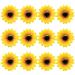 Framendino 12 Pack Sunflower Hair Clip Flower Hair Pins Duckbill Hairpin Alligator Barrettes Clamp Hair Accessories for Women Girls Summer Beach Party 12 Pack Yellow