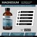 Liquid Ionic Magnesium High-Absorption Magnesium Supplement to Support Restful Sleep Calm Mood Muscle Relaxation Steady Energy Metabolism & Digestive Comfort 16 fl oz 16 Fl Oz (Pack of 1) - Buy Online on GoSupps.com