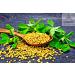 Organic Dried Fenugreek Leaves (Kasoori Methi) 1oz | Naturevibe Botanicals | Cooking Spice for Flavor Enhancement - Buy Online on GoSupps.com