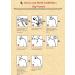 ROIHI-TSUBOKO Relief Patches Big Size. Pack of 2 (156 patches) - Buy Online on GoSupps.com
