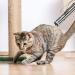 BiuCat 7 in 1 USB LED Pointer Toy for Cats & Dogs - Rechargeable Interactive Pet Toys (2 Pack) - International Shipping - Buy Online on GoSupps.com