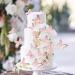 Blumomon 30 Pcs 3D Butterfly Cake Topper Decor - Pink Gold Edge Cupcake Picks for Weddings Baby Showers & Birthdays - Buy Online on GoSupps.com