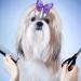 Balacoo 20pcs Cute Dog Hair Bows - Elastic Butterfly Design Topknot Grooming Decor for Pets | Dog Hair Accessories - Buy Online on GoSupps.com