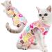 Kitipcoo Professional Surgery Recovery Suit for Cats - Breathable Abdominal Wound & Skin Disease Care - Small Size - 1 Pack - Buy Online on GoSupps.com
