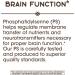 Nature's Way Phosphatidylserine 100 mg - 60 Softgels for Brain Health - Buy Online on GoSupps.com
