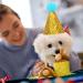 Buy Dog Birthday Hat Set - Sequin Accessories for Pet Parties | Blue & Pink 2 Pieces - Buy Online on GoSupps.com