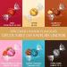 LINDT LINDOR Assorted Chocolate Truffles (Milk Chocolate White Chocolate Hazelnut Chocolate Dark Chocolate) Jumbo Bag 52 Count of Truffles 650g Bag Individually Wrapped Chocolate - Buy Online on GoSupps.com