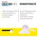 Creatine HCl + Hydration Electrolyte Powder | Citrus Mango | Sugar-Free Rehydration Supplement with Potassium Sodium Zinc & Magnesium (40 Servings - Buy Online on GoSupps.com