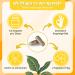 High-Dose St. John's Wort Capsules 10 000mg - Mood Lift & Psyche Balance | GABA & L-Tryptophan - Vegan Friendly - Buy Online on GoSupps.com