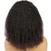 MSGEM 13x4 Brazilian Kinky Curly Lace Front Wig 14 Natural Black Human Hair 180 Density - Pre-Plucked, Glueless, for Black Women - Buy Online on GoSupps.com