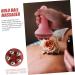 ABOOFAN Massage Roller - Body Care Tool for Back and Hair Growth | Manual Percussion Massager | Slim Waist | 14.5x7.5cm | Pink - Buy Online on GoSupps.com