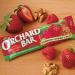 Orchard Bars Non-GMO Strawberry Raspberry Walnut Bars - 12 Pack 1.4oz - Buy Online on GoSupps.com