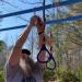 Lily's Things Trapeze Swing Bar with Gymnastic Rings - Ninja Warrior Accessories for Kids - Easy Attachment to Home Playground Equipment - Buy Online on GoSupps.com