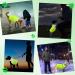 LOOPES Hi-Vis Dog Coat 2Pcs Dog Training Vest With Reflective Dog Collar Safety Reactive Dog Warning Jacket Vest From Cars&Hunting Accidents Nervous Dog Harness for Outdoor Activity Day&Night(L) - Buy Online on GoSupps.com