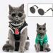 5 Pieces Pet Glasses | Fashion Sunglasses for Dogs & Cats | Retro Style Small & Medium Pet Sunglasses - Buy Online on GoSupps.com