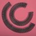 HOYOEY 6 Pieces Full Circular Stretch Flexible Comb Plastic Circle Comb Zigzag Headband Flexi Combs - Buy Online on GoSupps.com