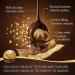 FERRERO ROCHER Fine Hazelnut Milk Chocolate 3 Individually Wrapped Chocolates 12 packs 450g Hazelnut 1 Count (Pack of 12) - Buy Online on GoSupps.com