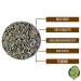 Premium Quality Untreated Green Pumpkin Seeds - 3.5kg Natural & Unsalted Kernels | Eco-Friendly Buckets - International Shipping Available - Buy Online on GoSupps.com