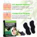 QUROMOJY Blackhead Strips - Charcoal Deep Cleaning Nose Strips (80 Counts) - Blackhead Remover for Men & Women - Buy Online on GoSupps.com