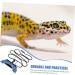 POPETPOP 2 Sets Lizard Leash Squirrel Harness Reptile Reptichip Bearded Dragons Walking Leash Drawstring Tank 17X7X0.1CMx2pcs Bluex2pcs - Buy Online on GoSupps.com