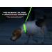 Illumiseen LED Dog Collar USB Rechargeable - Neon Green Large (L) 19-24 - High Visibility Light for Night Walking - Buy Online on GoSupps.com