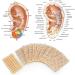 600 Pieces Acupuncture Ear Seeds & Massage Stick Set | Acupressure for Wellness & Relaxation | International Shipping Available - Buy Online on GoSupps.com