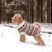 Boho Dog Sweater - Hjumarayan Christmas Sweater for Small Dogs | Thick & Stylish for French Bulldogs & Chihuahuas (Red Size S) - Buy Online on GoSupps.com