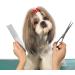 Stainless Steel Pet Comb for Dogs & Cats | Rounded Teeth | Ideal for All Fur Types | Durable & Ergonomic Design (19 x 4 cm) - Buy Online on GoSupps.com