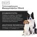 Chewies Dog Treats Tasting Package ProÃ-Free Soft Sugar-Free Monoprotein Gelis | Made in Germany 6 x 300g Mix Pack - Buy Online on GoSupps.com