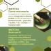 ERBOTECH BIO Matcha Tea Powder 100g - 100% Natural Japanese Green Tea for Cakes, Smoothies, and Iced Tea - Organic Multivitamin Vegan Option - Buy Online on GoSupps.com
