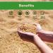 Sincerely Nuts Roasted Unsalted Soybeans (2 LB) - Gluten-Free, Vegan & Kosher - Powerful Vegetarian Protein Source - Buy Online on GoSupps.com