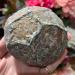 1PC 450-500g Natural Agate Original Stone Crystals Raw Rough Specimens Jade Gemstones Ornaments Home Goods - Buy Online on GoSupps.com