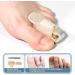 Toe Splint Corrector for Adult Men and Women - Hammertoe Straightener Brace (S Right Foot) - Buy Online on GoSupps.com