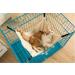 OCSOSO Cat Hammock - Soft Hanging Bed for Kitten, Ferret, Puppy - L1 Leopard - Buy Online on GoSupps.com