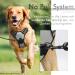 Rabbitgoo No-Pull Dog Harness for Medium & Large Dogs - Adjustable Breathable Control Harness with Reflex Stripes - Safe & Comfortable Gray Design (1 Pack) - Buy Online on GoSupps.com