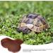 tongfeng Large Snake Water Bowl - Reptile Bathing Pool With Ramp And Basking Platform - Aquarium Ornament For Turtle Bearded Dragon Gecko For Backyard Balcony Yard No Drainage - Buy Online on GoSupps.com