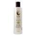 Key West Aloe Lime Shampoo