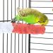 POPETPOP Bird Parrot Stand Perches with Cuttlebone - Calcium Perch Standing Pole and Toys for Parrots | Bird Cage Accessories - Buy Online on GoSupps.com