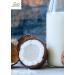 Jiva Organics Organic Coconut Milk 13.5oz (Pack of 12) - Premium Unsweetened, Full 18% Fat, Vegan, Paleo, No Guar Gum, BPA-Free, Keto Friendly - Buy Online on GoSupps.com
