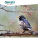Donath Energie Mix - Premium 5kg Insect Fat Wild Bird Feed | High-Quality Year-Round Nutrition | Southern Germany Made - Buy Online on GoSupps.com