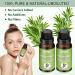 Pure Rosemary Oil for Hair Growth - 2 Pack with Scalp Massage Brush | Enhance Hair Health for Men & Women - Buy Online on GoSupps.com