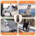 Slowton Dog Shoes Breathable Non-Slip Paw Protection Boots for Small Medium & Large Dogs Adjustable Reflective Velcro Fastener Size 5 (Width 6 cm) 2 Pieces - Buy Online on GoSupps.com