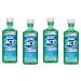 ACT Anticavity Fluoride Rinse Mint 18 oz (Pack of 4) 18 Fl Oz (Pack of 4)