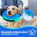 FWLWTWSS Inflatable Dog Collar | Adjustable Velcro Fastener | Leak Protection for Post-Surgery Recovery | Blue XL (Neck: 45.7cm-63.5cm) - Buy Online on GoSupps.com