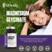 LES Labs Magnesium Glycinate Supports Restful Sleep Heart Health Stress Relief Metabolism Nerve & Muscle Function Gentle on The Digestive System Non-GMO Supplement 120 Capsules - Buy Online on GoSupps.com