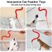 Amaxiu Cat Rainbow Wand Toys 3pcs Interactive Cat Teaser Wand String Cat Feather Toys for Indoor Colorful Ribbon Charmer for Kittens Exerciser Playing Teaser Training Catcher(Style C) - Buy Online on GoSupps.com