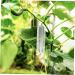 POPETPOP 4pcs Shaped Growth Mold Ginseng Transparent Fruit Shaping Mold Acrylic Small Fruit Vegetable - Buy Online on GoSupps.com